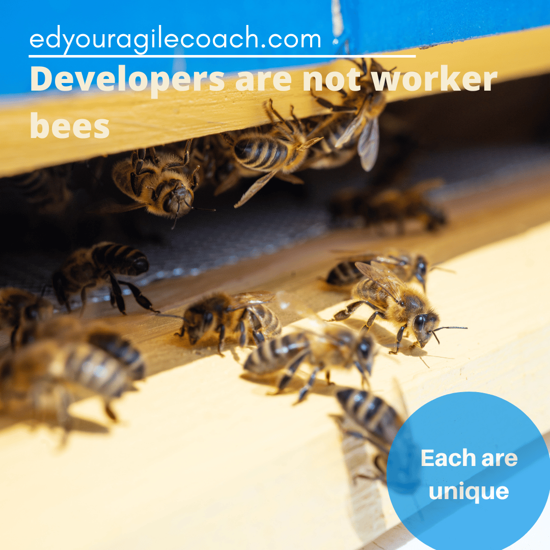 Not just coders